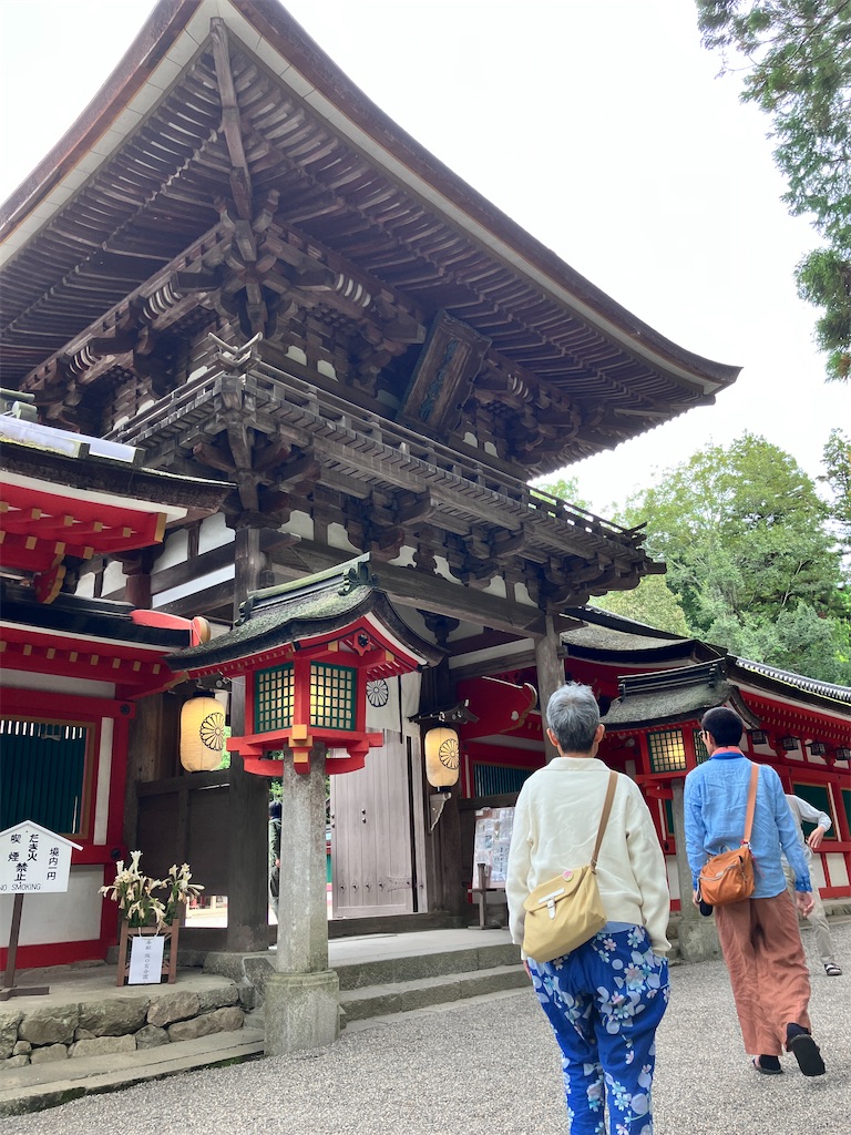 f:id:yaaninju-yui35:20251021170106j:image