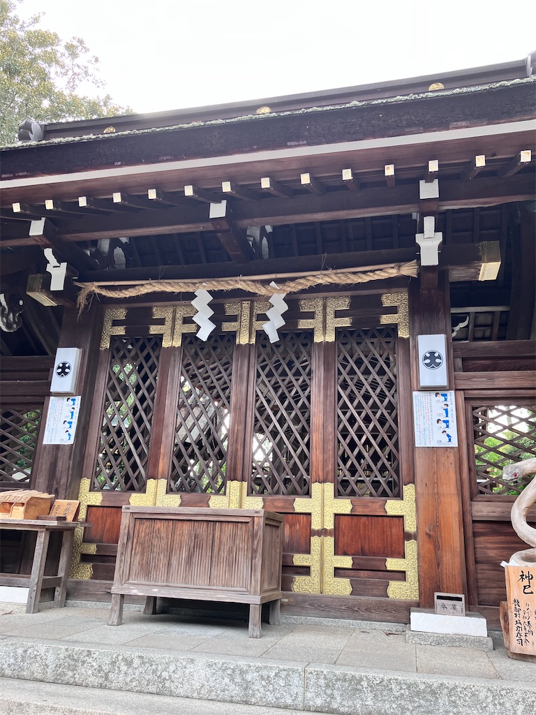 f:id:yaaninju-yui35:20251021171835j:image