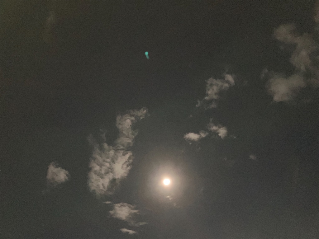 f:id:yaaninju-yui35:20251105210835j:image f:id:yaaninju-yui35:20251105210835j:image