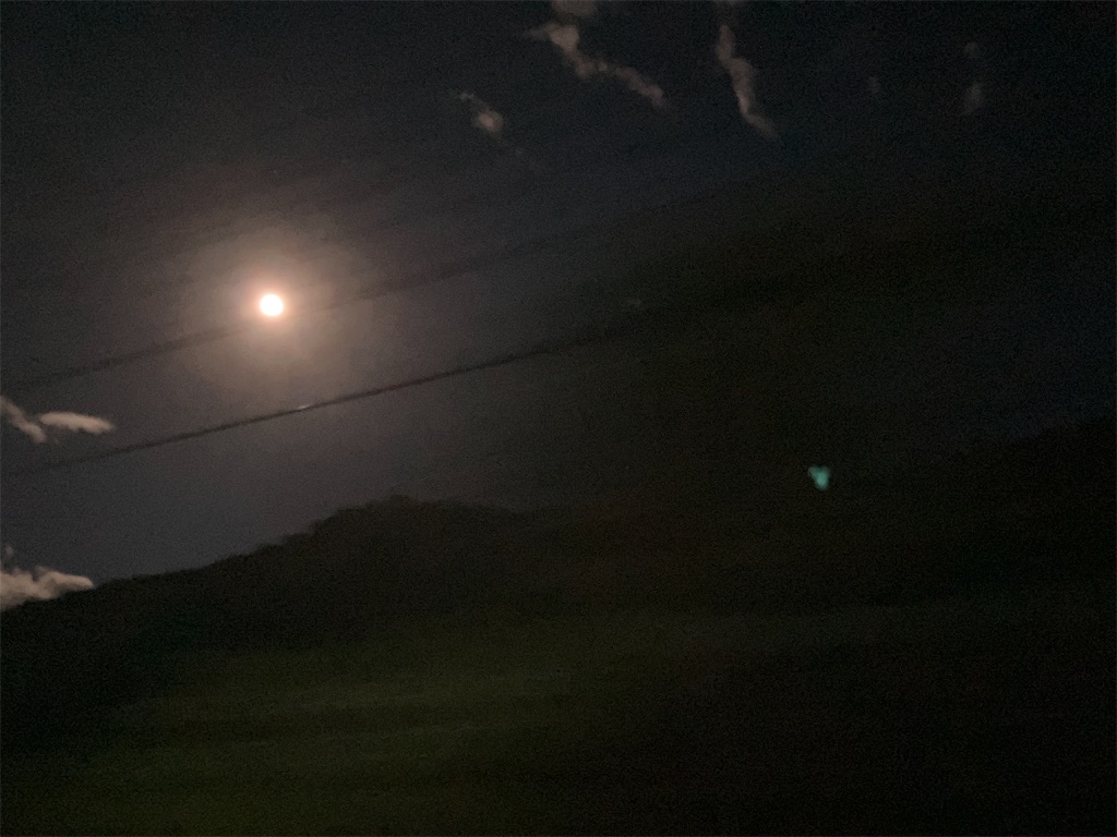 f:id:yaaninju-yui35:20251105210838j:image f:id:yaaninju-yui35:20251105210838j:image