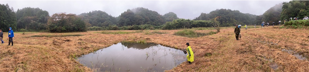 f:id:yaaninju-yui35:20251110061849j:image f:id:yaaninju-yui35:20251110061849j:image