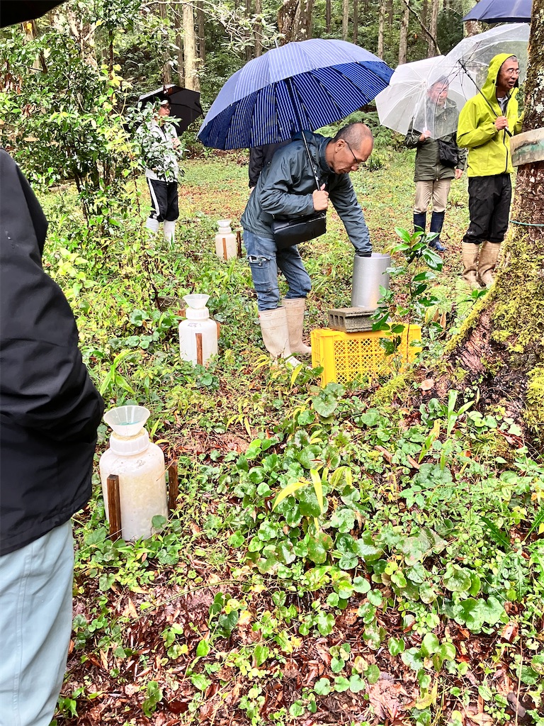 f:id:yaaninju-yui35:20251110062201j:image f:id:yaaninju-yui35:20251110062201j:image