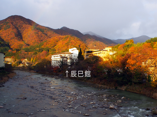 辰巳館と利根川