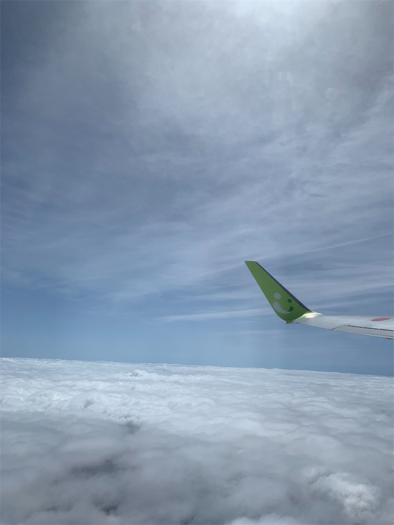f:id:yabaihmsk:20190608110657j:image