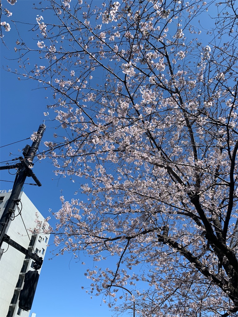 f:id:yabaihmsk:20200325082019j:image