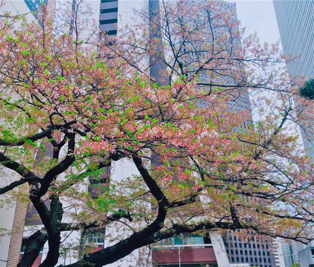 f:id:yabooo:20210407081951j:image f:id:yabooo:20210407081951j:image