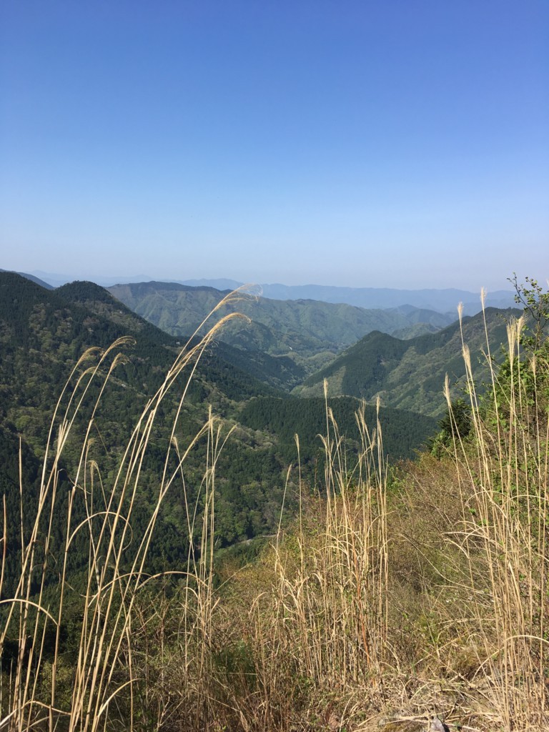 f:id:yaboratory:20180421142510j:plain f:id:yaboratory:20180421142510j:plain