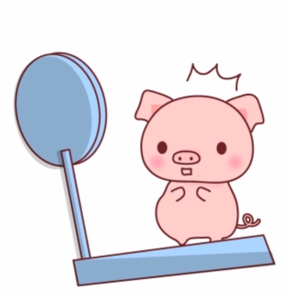 f:id:yabutomo0523:20200123183516j:image f:id:yabutomo0523:20200123183516j:image