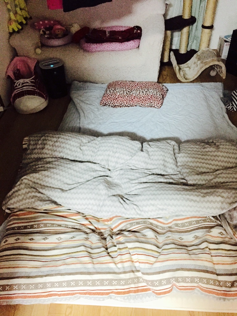 f:id:yacchi0825aska:20161013195305j:image f:id:yacchi0825aska:20161013195305j:image