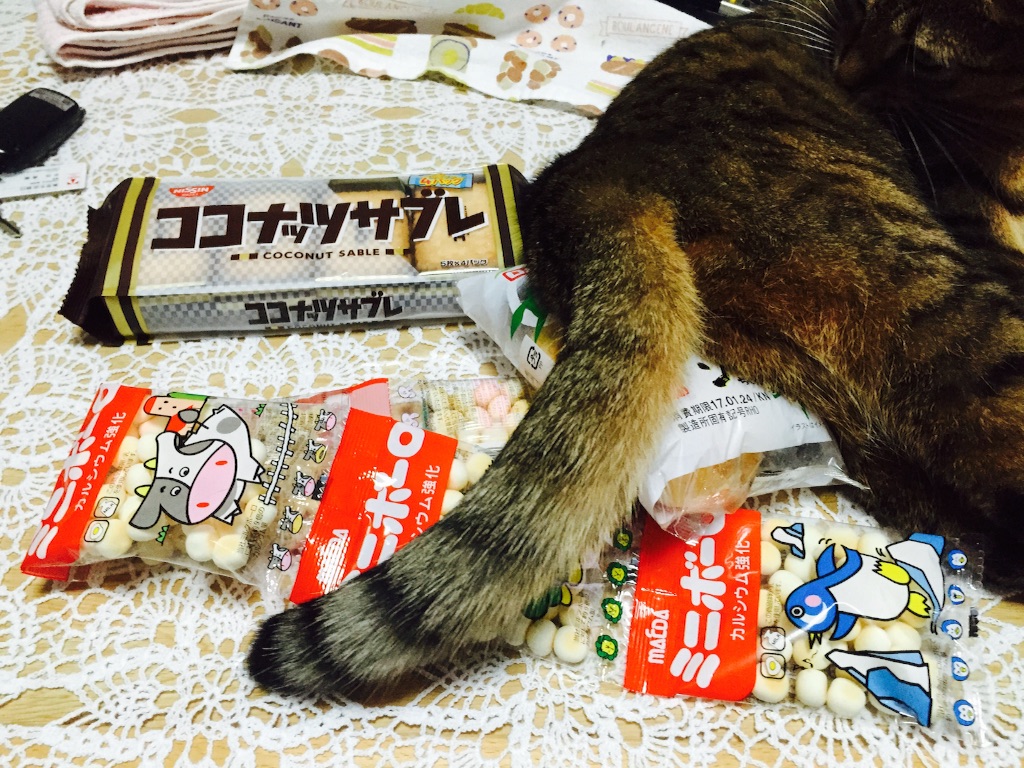 f:id:yacchi0825aska:20170123204356j:image f:id:yacchi0825aska:20170123204356j:image