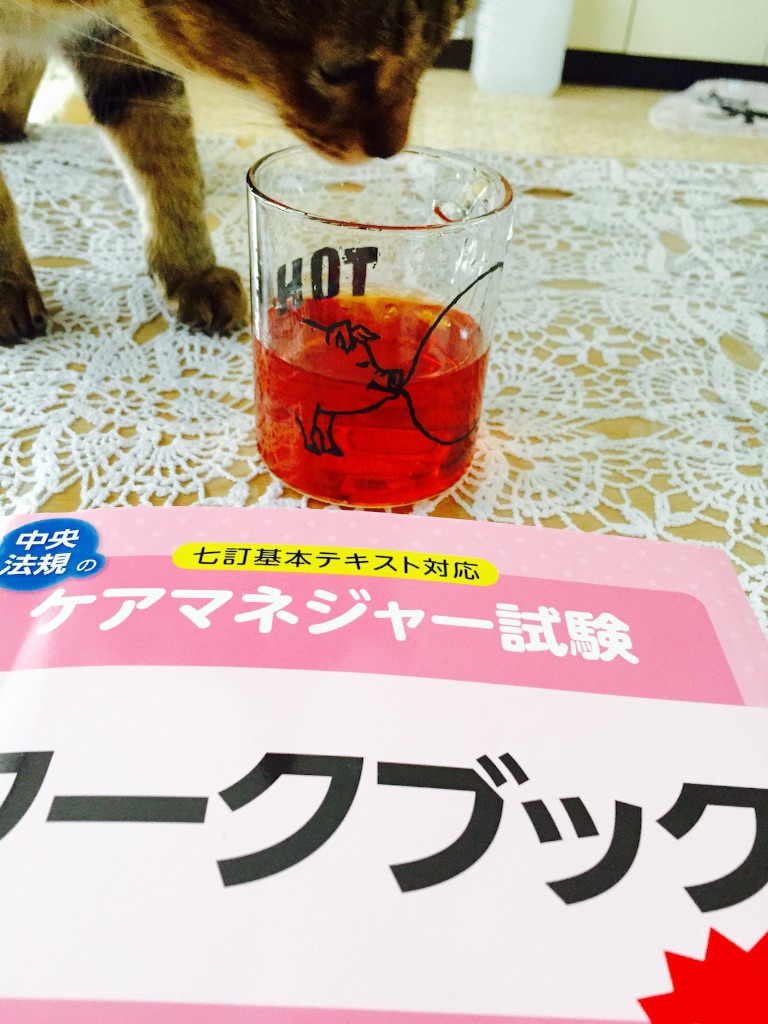 f:id:yacchi0825aska:20170805110653j:image f:id:yacchi0825aska:20170805110653j:image