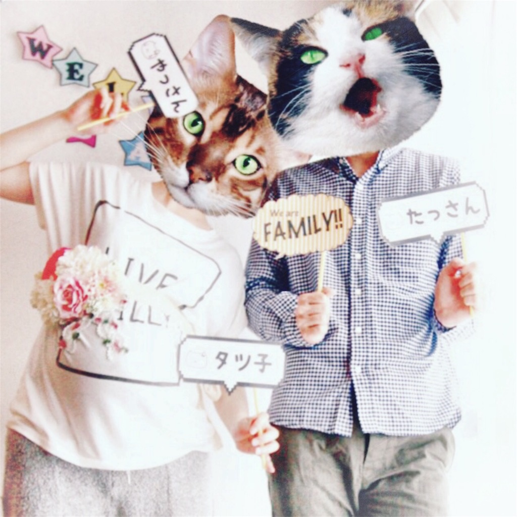 f:id:yacco_alfalfa:20160423230100j:image f:id:yacco_alfalfa:20160423230100j:image