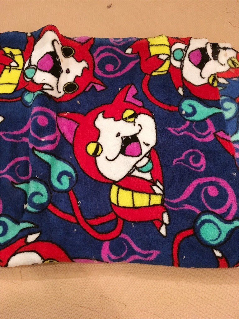 f:id:yacco_alfalfa:20170121221701j:image