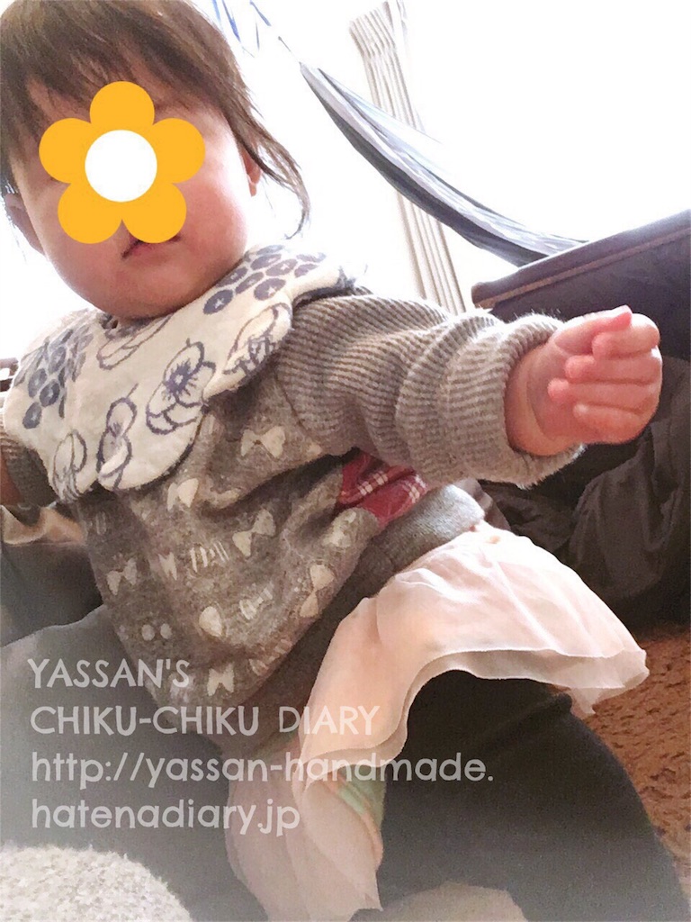 f:id:yacco_alfalfa:20170202215143j:image