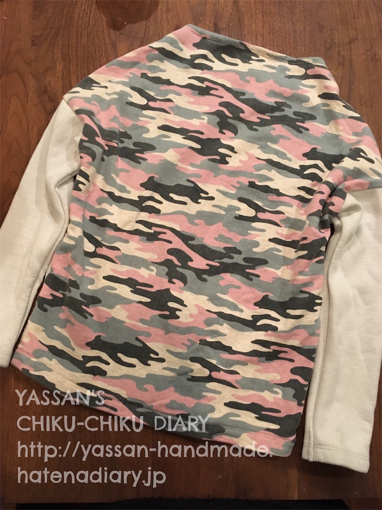 f:id:yacco_alfalfa:20170316093811j:image