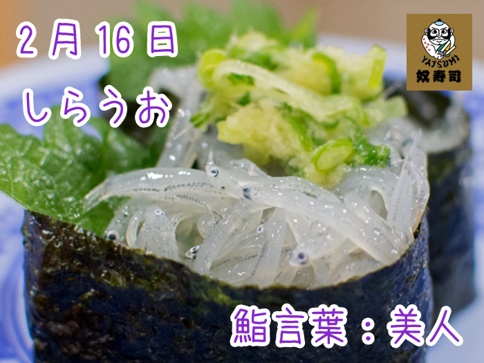 誕生鮨 2月16日 奴寿司鹿沼の日常
