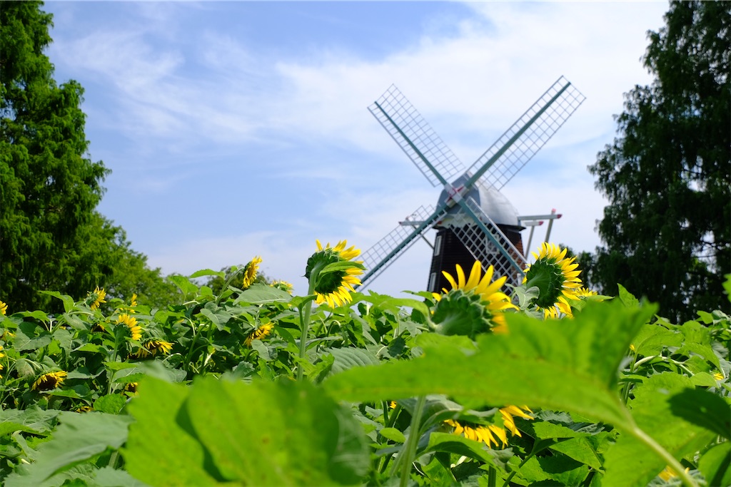 f:id:yacha1:20240729112149j:image