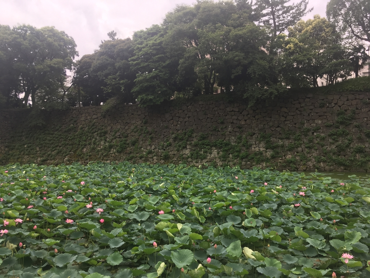 f:id:yachanman:20210301072901j:plain