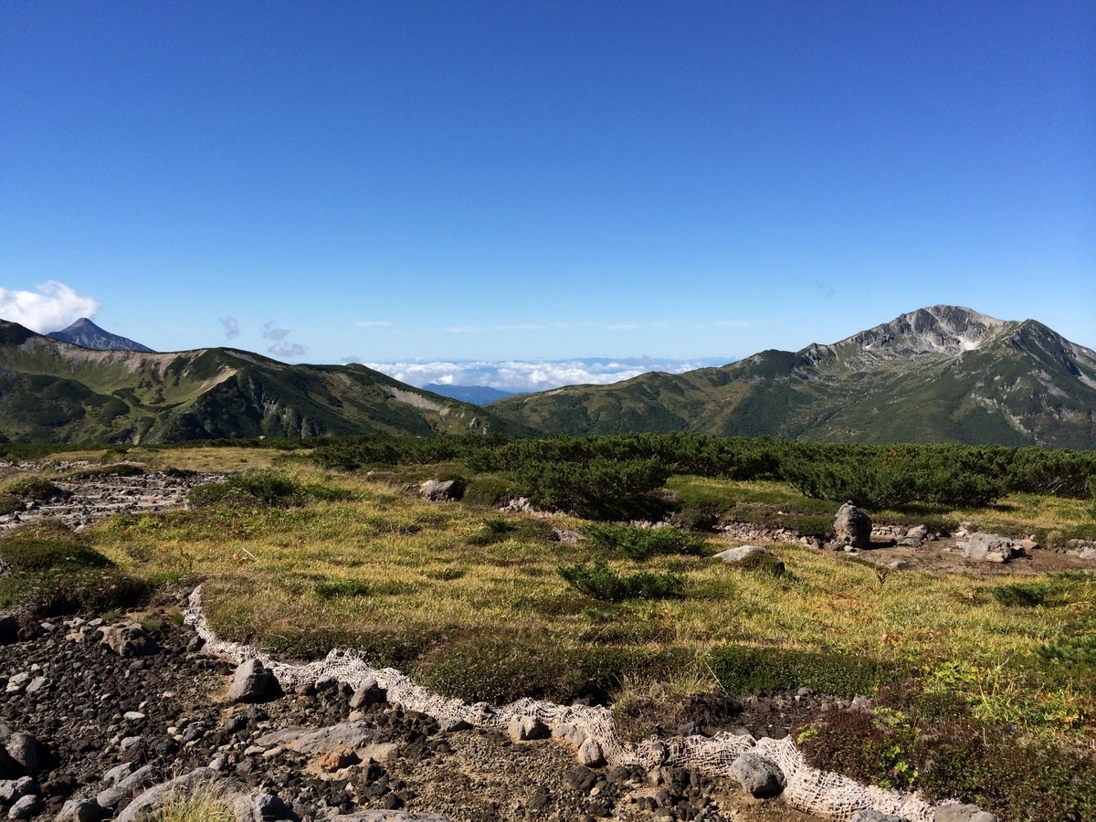 f:id:yachanman:20211112072135j:plain