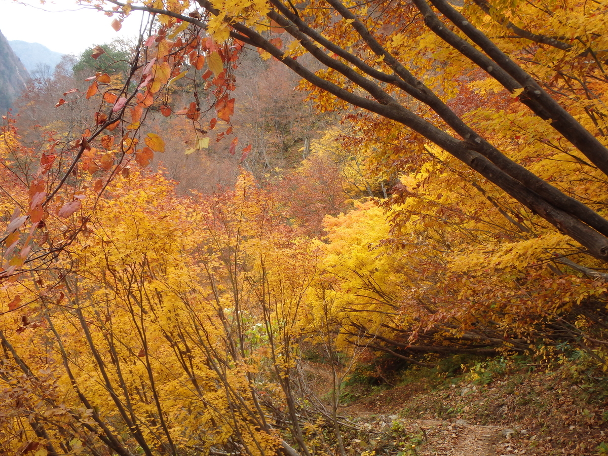 f:id:yachanman:20211117072426j:plain