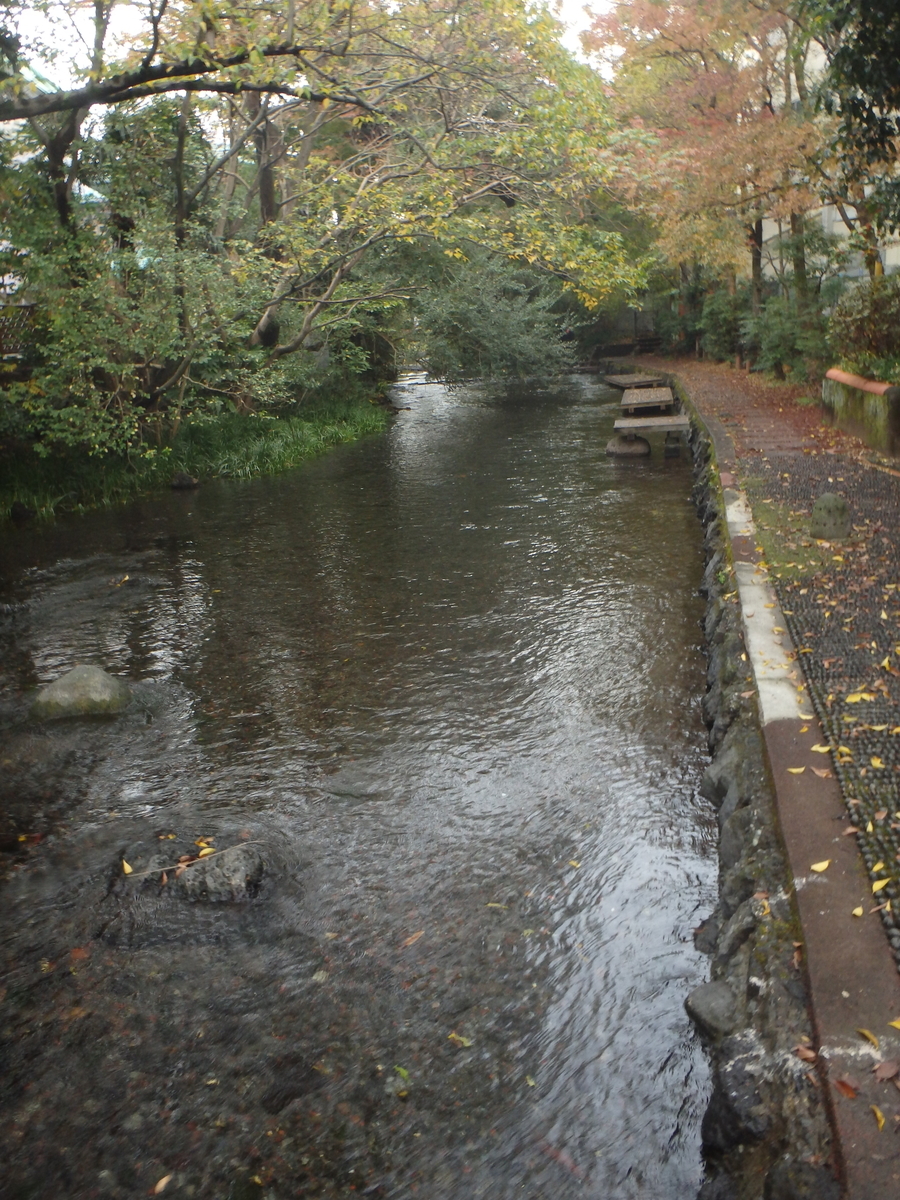 f:id:yachanman:20211125071936j:plain