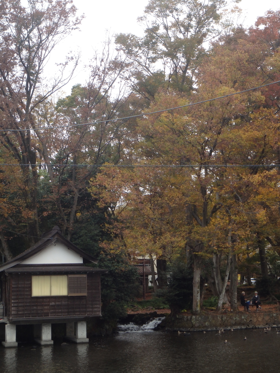 f:id:yachanman:20211126073353j:plain