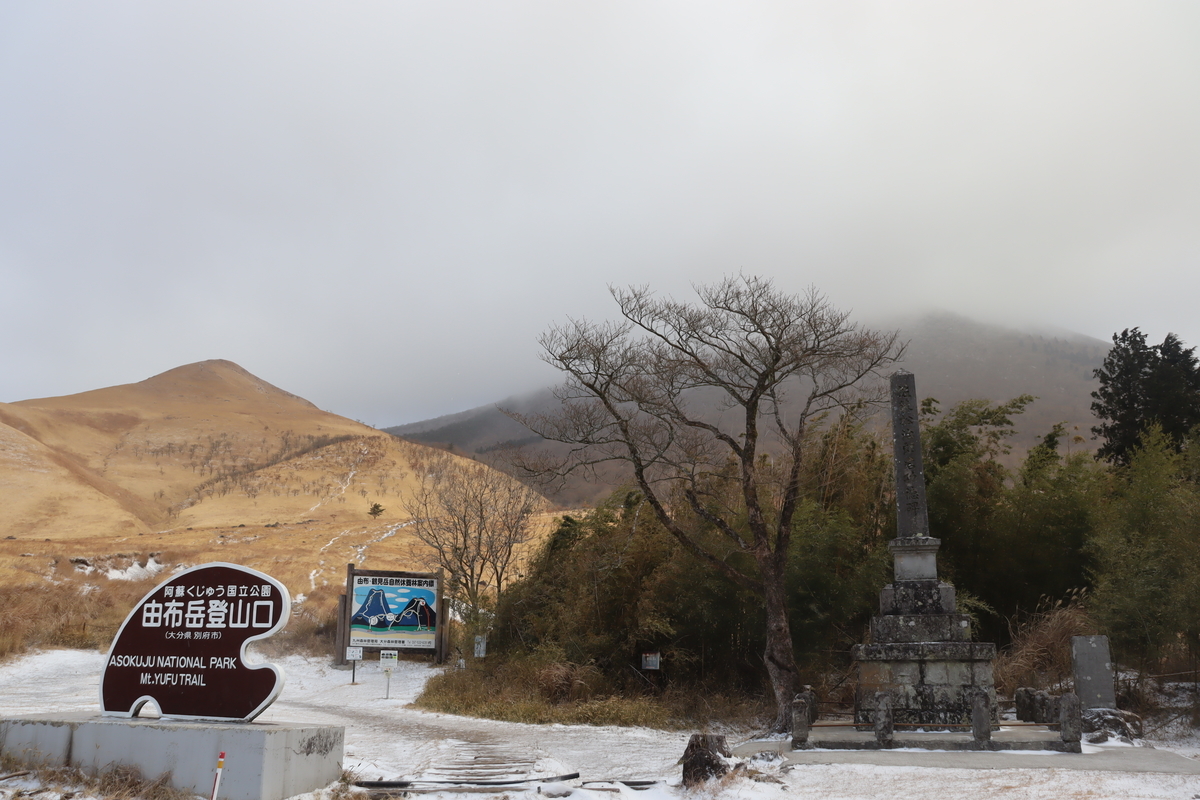 f:id:yachanman:20220104065037j:plain