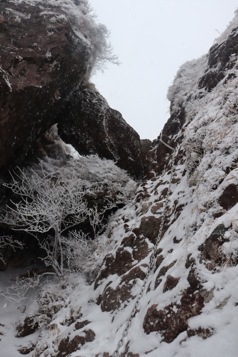 f:id:yachanman:20220104071030j:plain