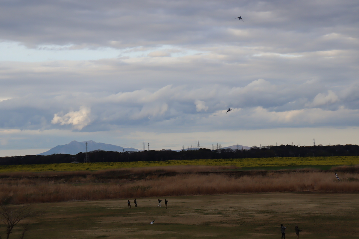 f:id:yachanman:20220322065749j:plain