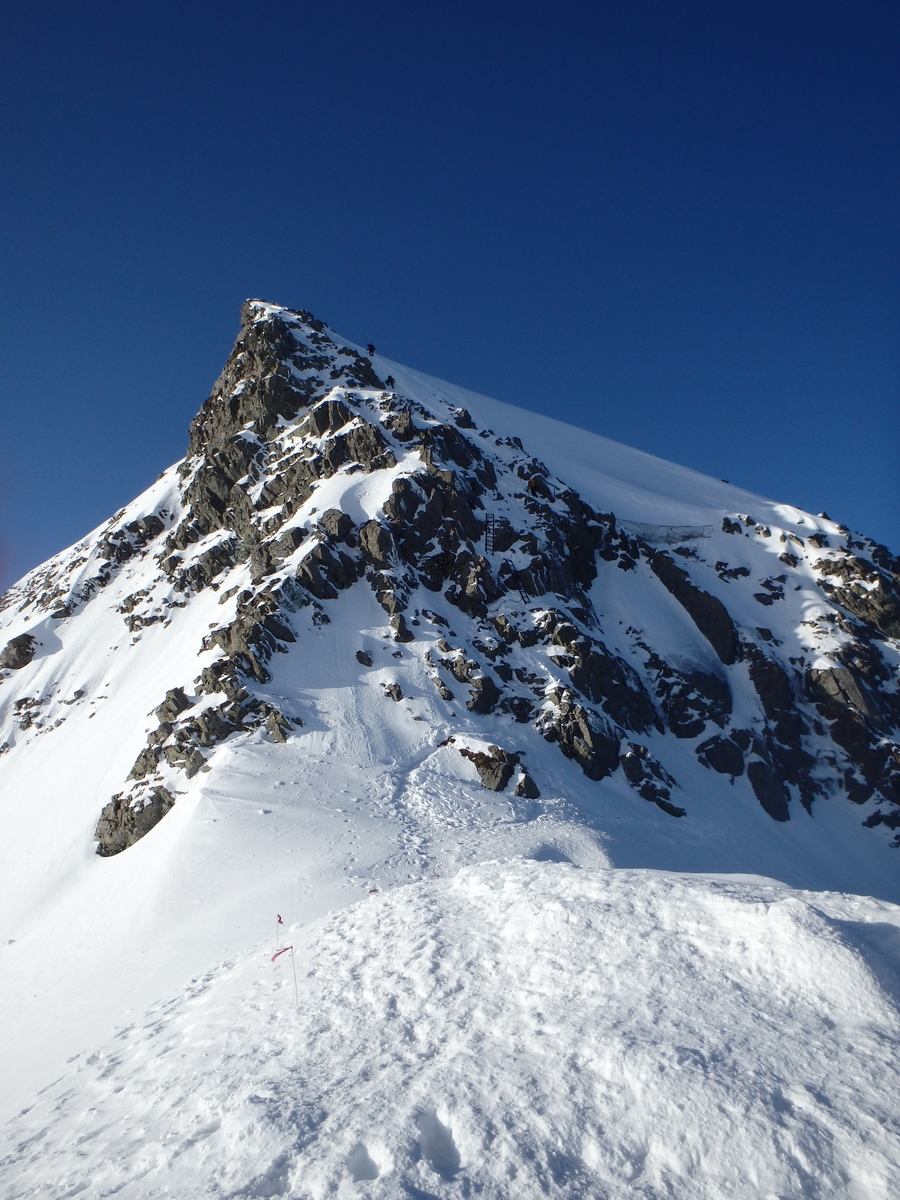 f:id:yachanman:20220406064252j:plain