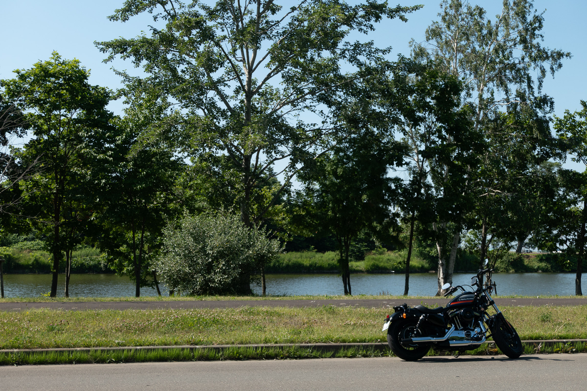 しのつ公園の水辺に停めたHarley-Davidson Forty-Eight