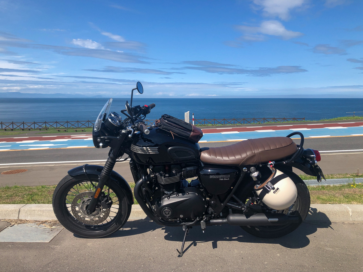 Triumph Bonneville T100 Black カスタム