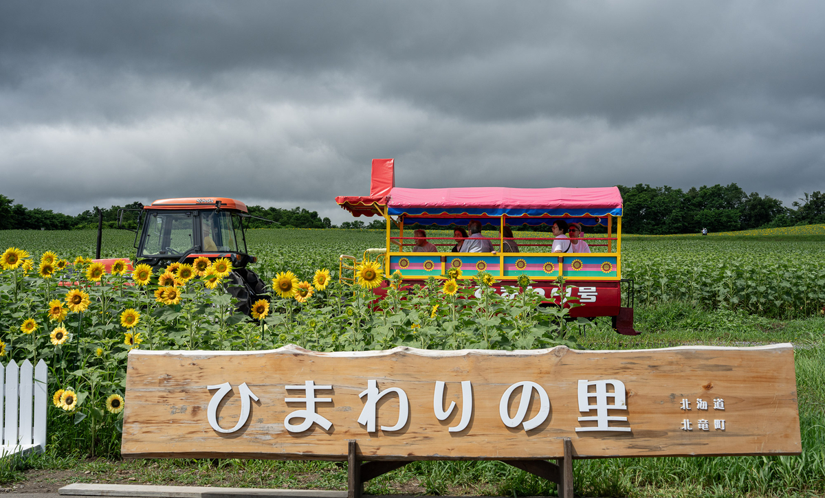 ひまわりの里の木製看板と、花畑を通る色鮮やかな遊覧車