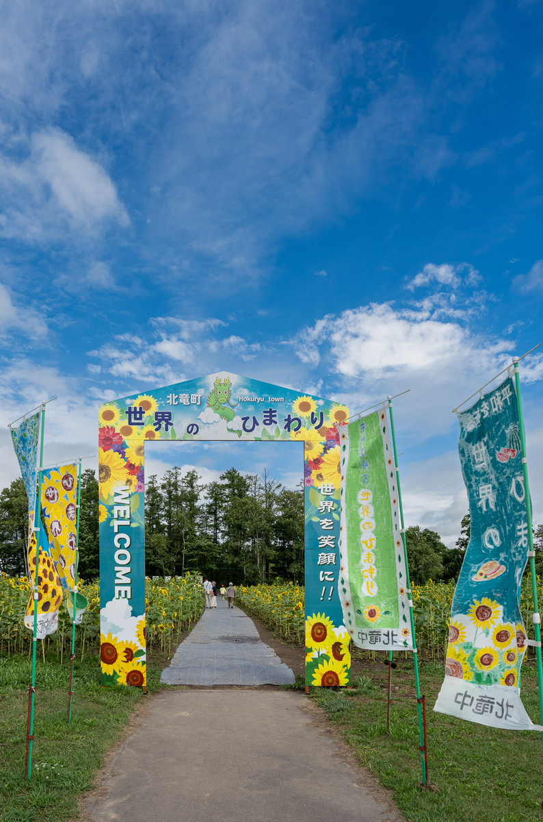 北竜町ひまわりの里、世界のひまわりゲートと花畑への通路