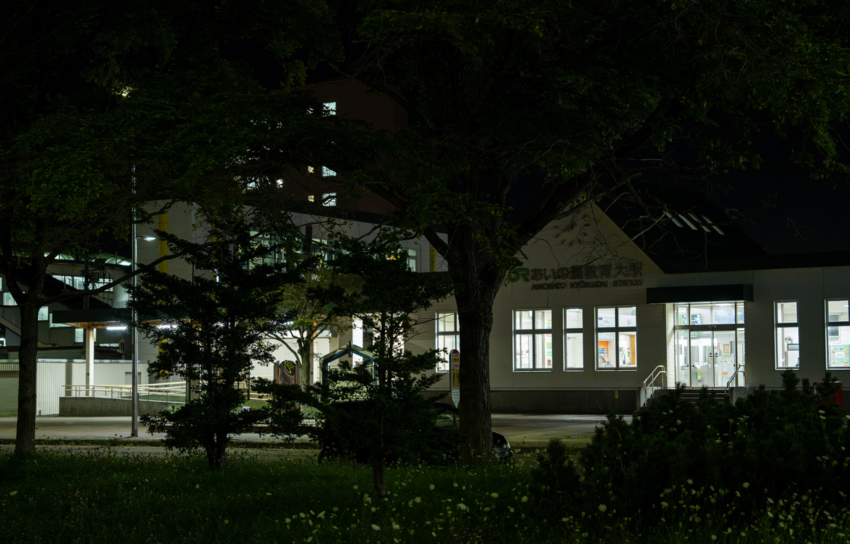 木々の向こうに見える夜のあいの里教育大駅の駅舎