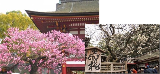 f:id:yachikusakusaki:20170210211623j:plain f:id:yachikusakusaki:20170210211623j:plain