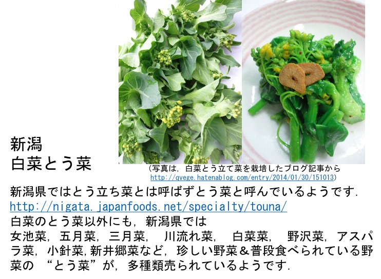 f:id:yachikusakusaki:20170320214938j:plain