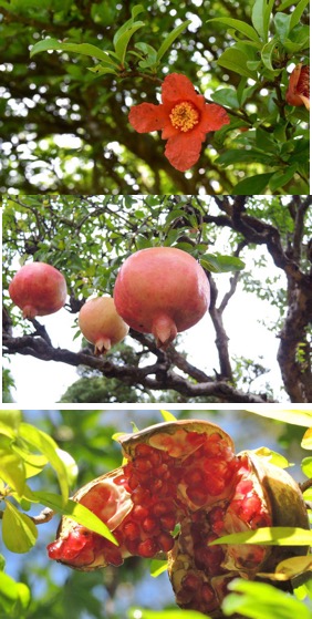 f:id:yachikusakusaki:20180408231958j:plain f:id:yachikusakusaki:20180408231958j:plain