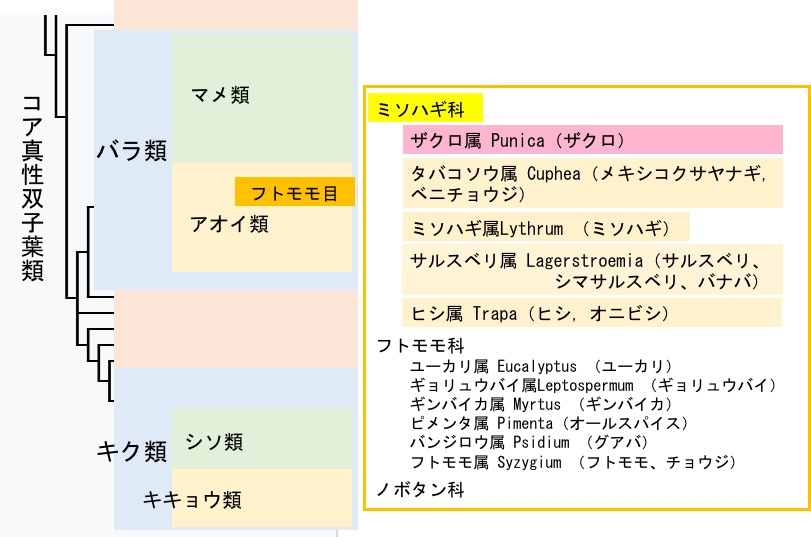 f:id:yachikusakusaki:20180409002211j:plain f:id:yachikusakusaki:20180409002211j:plain