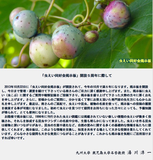 f:id:yachikusakusaki:20181008000721j:plain f:id:yachikusakusaki:20181008000721j:plain