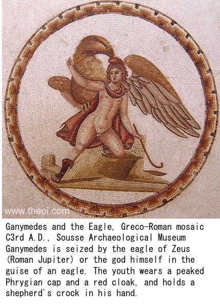 f:id:yachikusakusaki:20181031232510j:plain