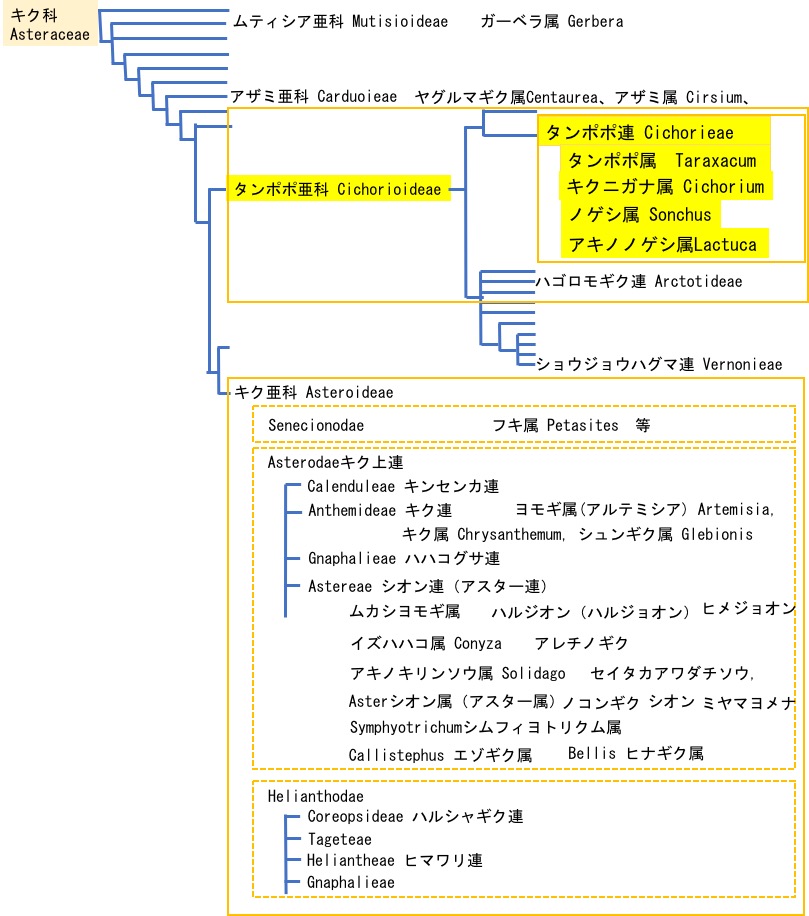タンポポ（蒲公英）を詠んだ短歌 いつしかに春の名残となりにけり昆布