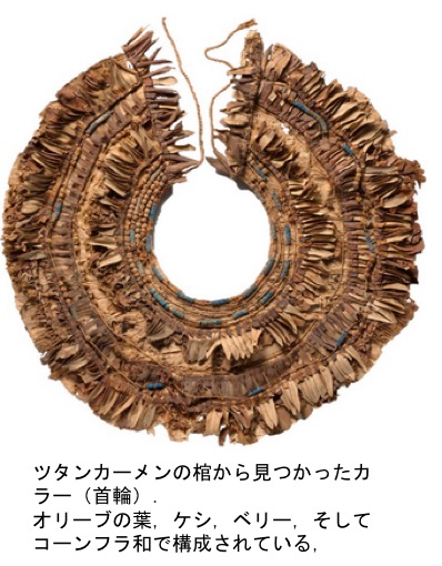 f:id:yachikusakusaki:20200722223620j:plain
