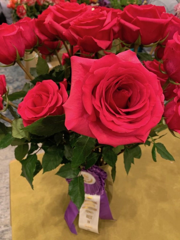 バラがアメリカの国花になった経緯 ここにバラをアメリカ合衆国のthe National Floral Emblemと宣言します ロナルド レーガン1986年10月7日 この決定にはあまり不満はありませんでした バラは単純に存在する それはその存在のすべての瞬間に完璧である バラの最大