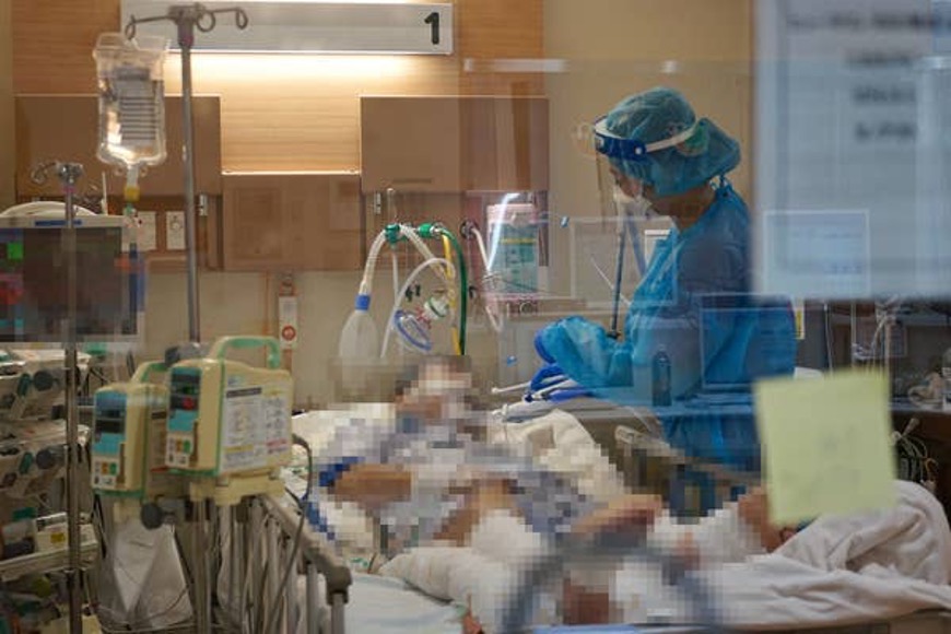 f:id:yachikusakusaki:20210801000017j:plain