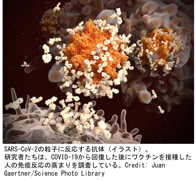f:id:yachikusakusaki:20211024004000j:plain