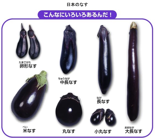 ナスを詠んだ短歌 日本人が長く食べてきた野菜なす（古くはなすび