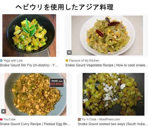 カラスウリ／烏瓜 里山の秋のシンボル烏瓜．結び文（たまずさ