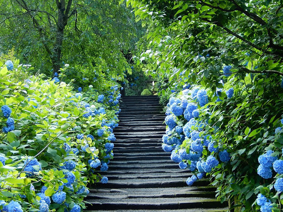 f:id:yachin29:20200531225348j:plain