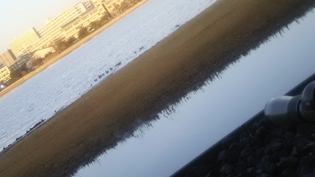 f:id:yachiyonese:20181201221533j:plain f:id:yachiyonese:20181201221533j:plain